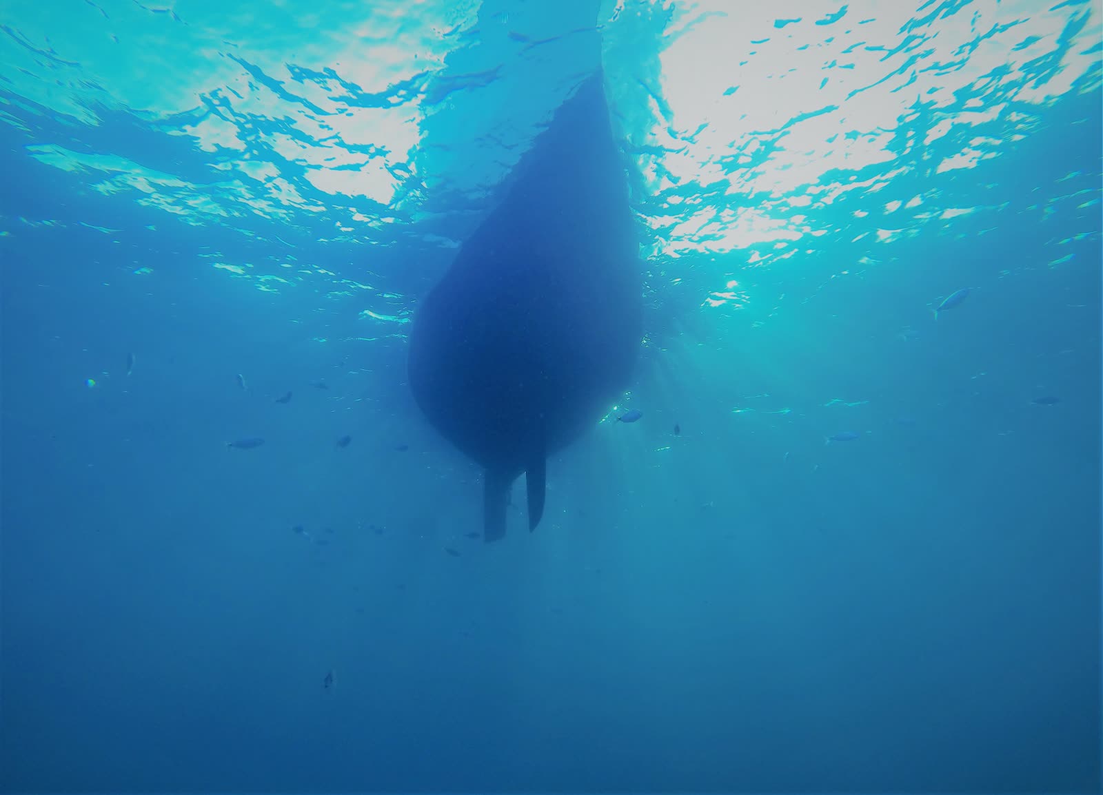 The sailboat hull seen from underwater on an Ibiza boat tour